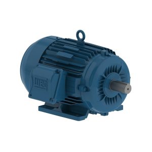 WEG CT000404NPW22(1HP, 1800RPM, 230/460V) - Duke Electric